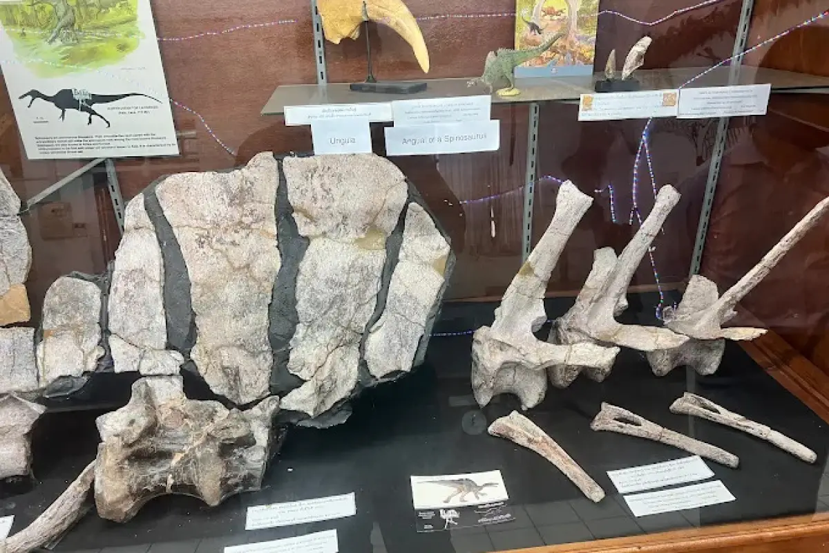 Savannakhet Dinosaur Museum