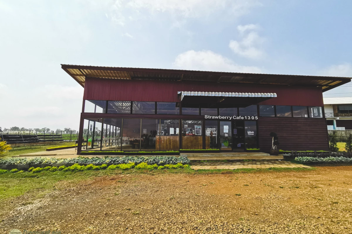 Yamamoto Strawberry Farm in Paksong Yamamoto Strawberry Farm in Paksong