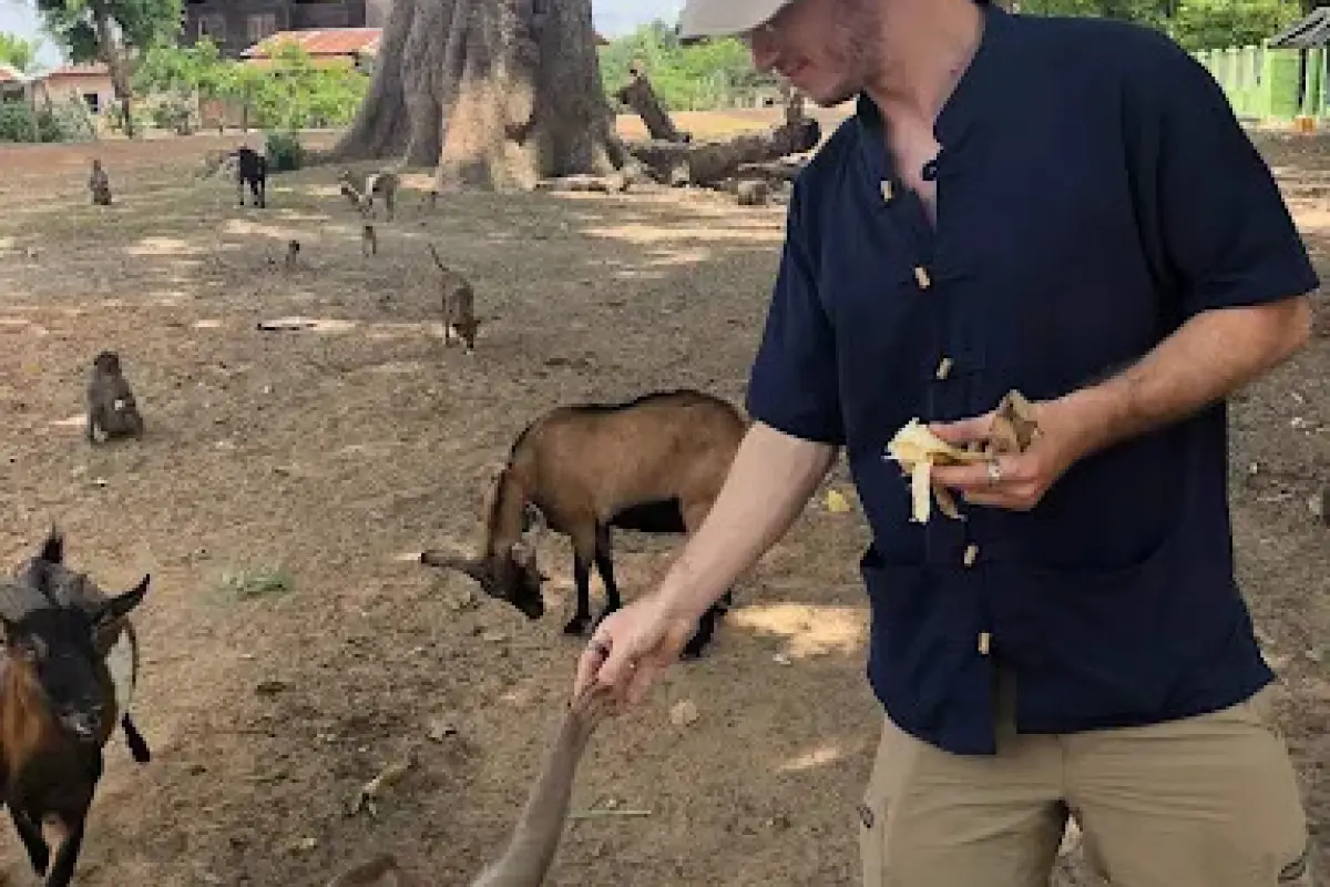Monkey Forest