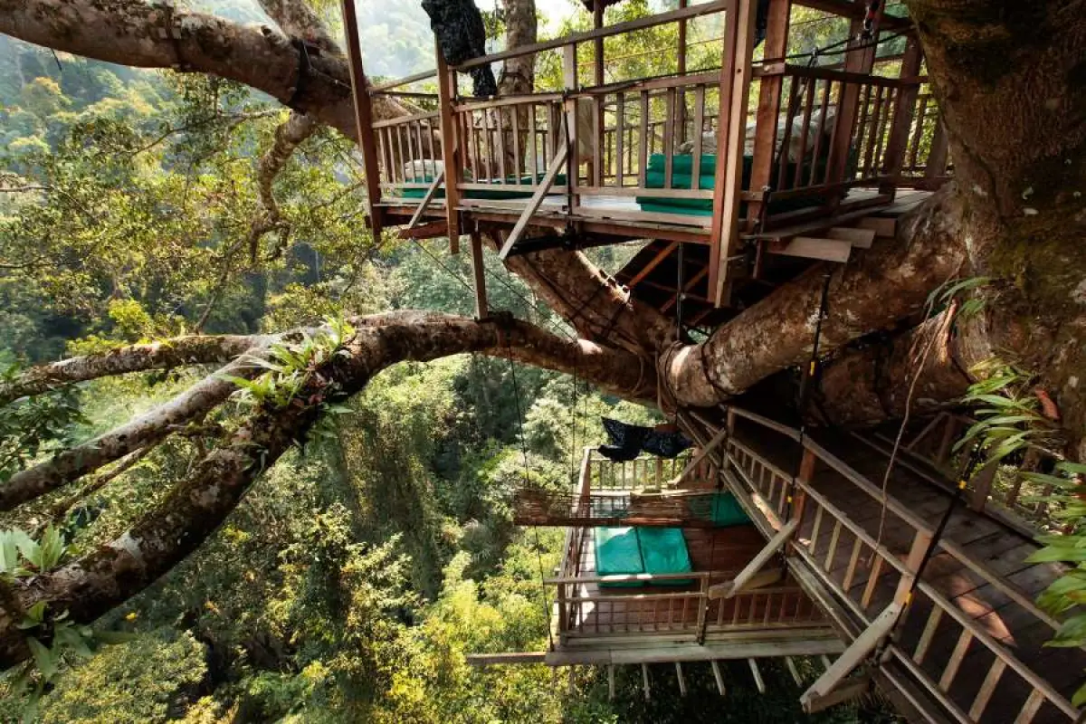 The Gibbon Experience