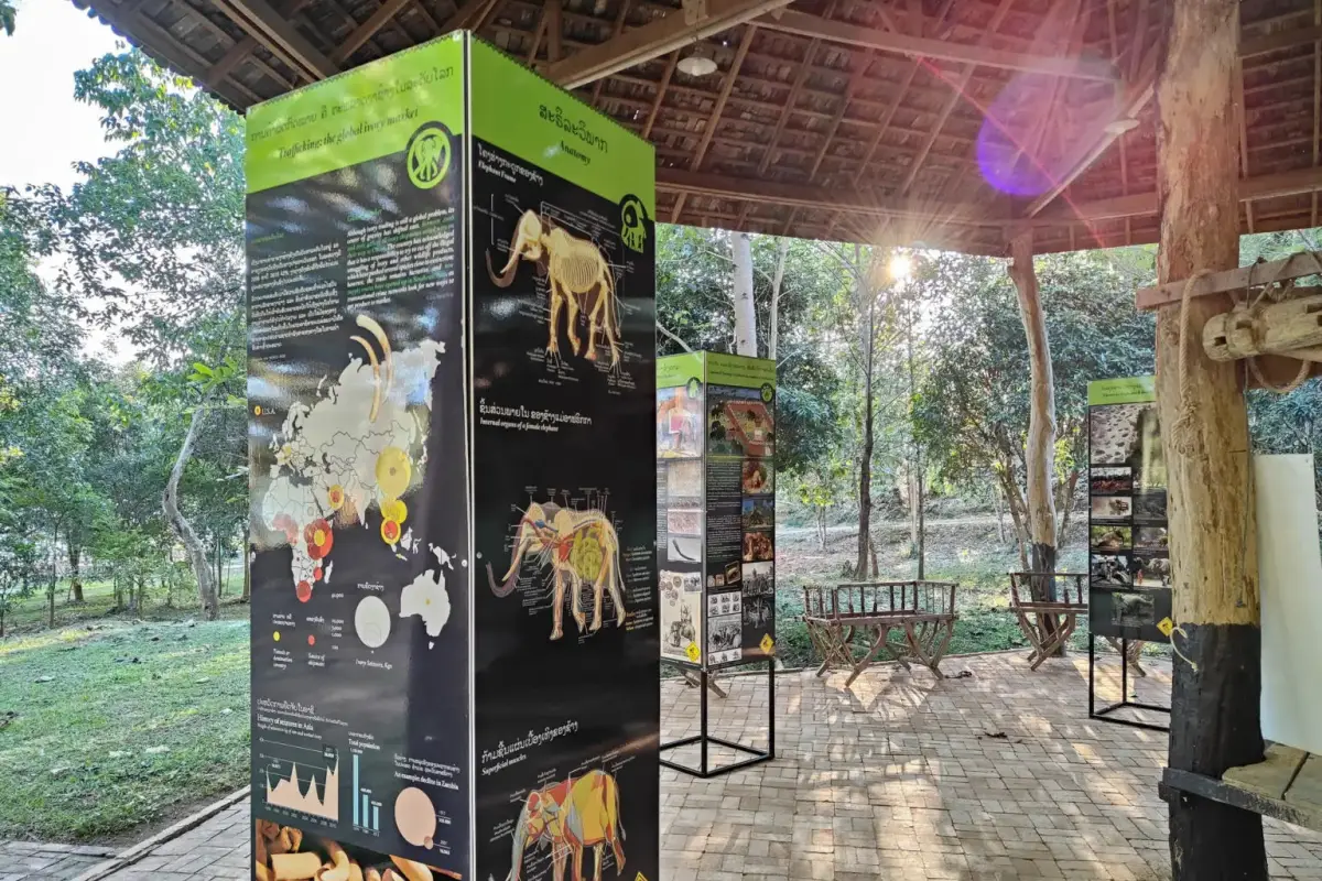Elephant Conservation Center (ECC)