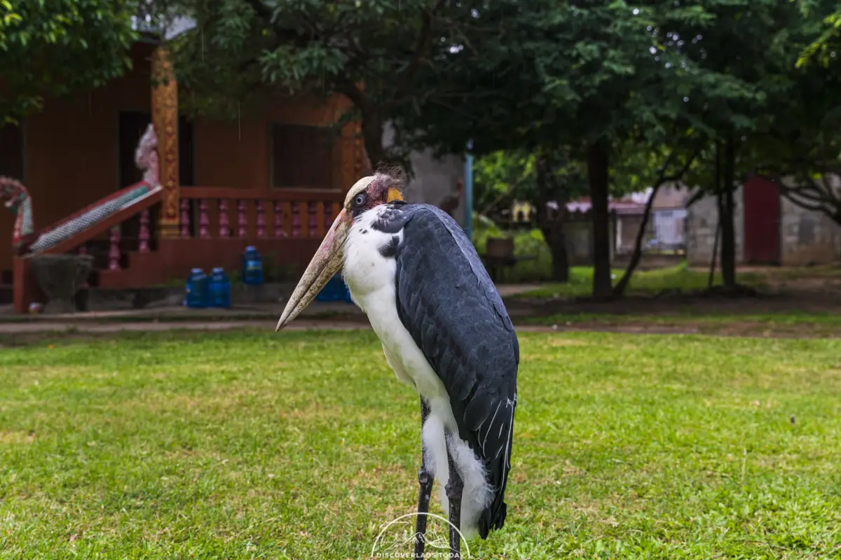หอไตรปิฎก (ห้องสมุดสคริปต์พุทธโบราณ)