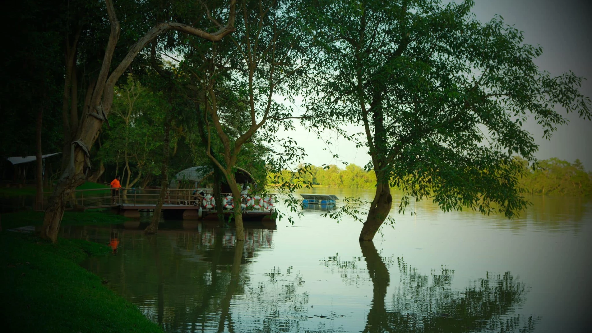 La Forêt