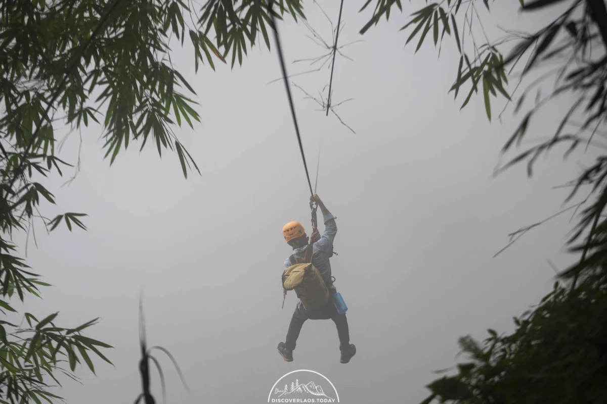 Tree Top Explorer Tree Top Explorer