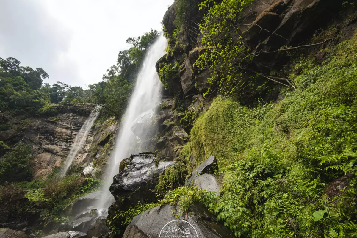 ตาดสะนาม