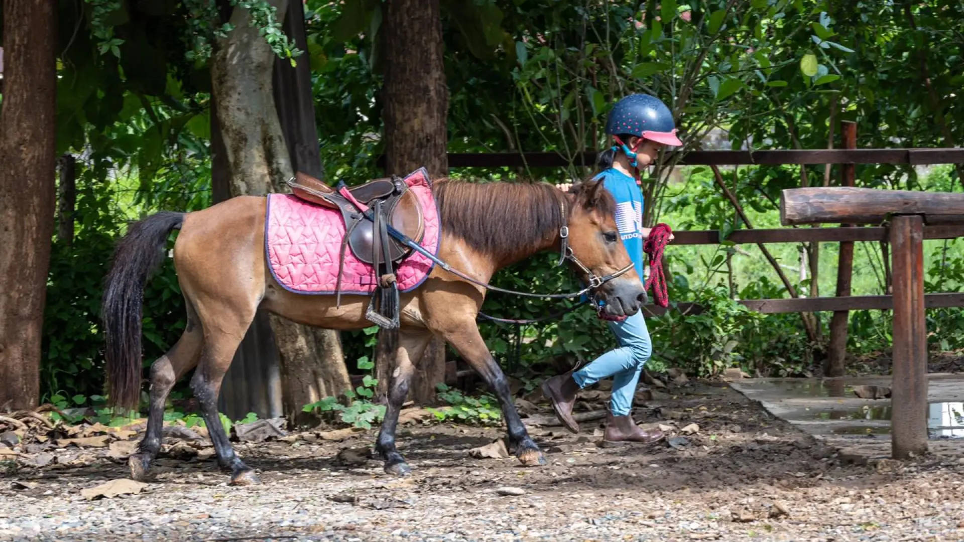 Pony Rid Pony Ride Experience in Luang Prabang