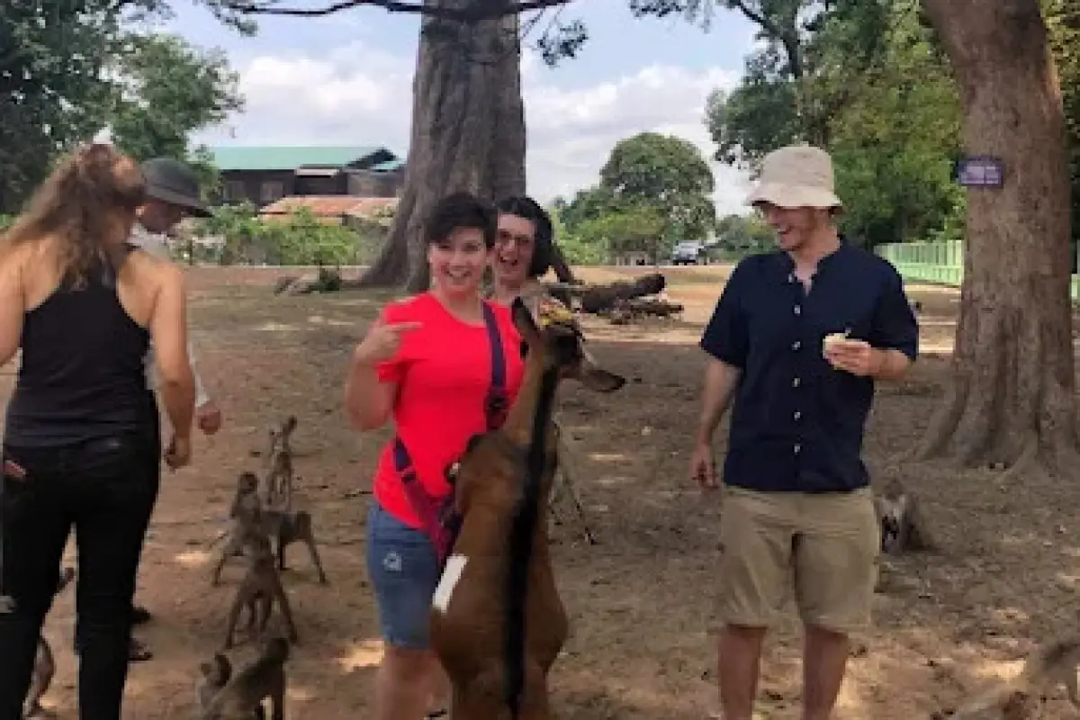 Monkey Forest