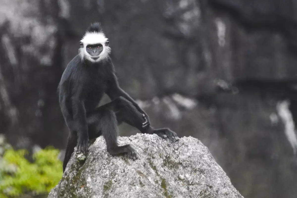 จุดชมวิวหินที่ภูผาม่าน