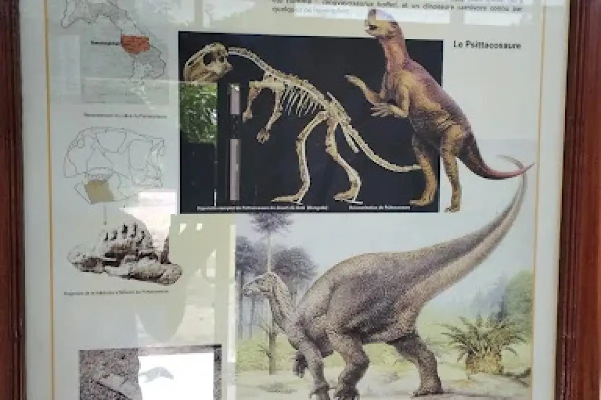 Savannakhet Dinosaur Museum