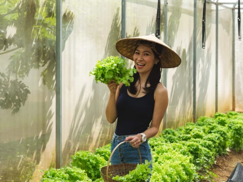 Organic Farm Tour at NamKhan Ecolodge Organic Farm Tour at NamKhan Ecolodge