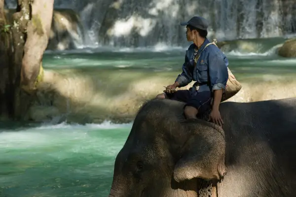 Full-Day Mountain Biking & Elephant Experience Adventure (No Riding)