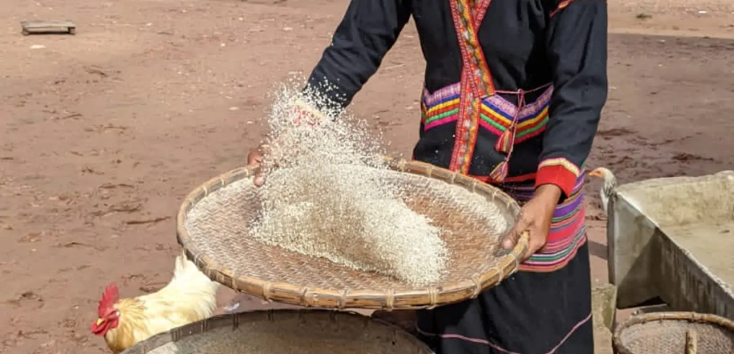 2-Day Nam Ha River Kayaking & Village Homestay Adventure – Luang Namtha