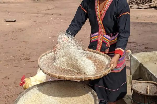 2-Day Nam Ha River Kayaking & Village Homestay Adventure – Luang Namtha