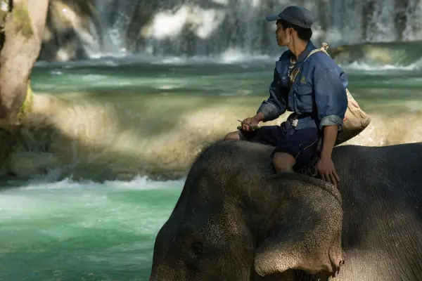 2 Day Deluxe Living with Elephant Mahout Program