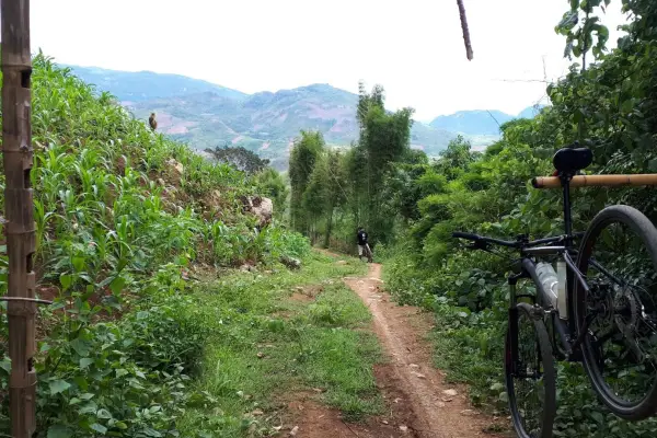 1 Day Biking On/Off-road "The Lung Buster" - Jungle Explorer