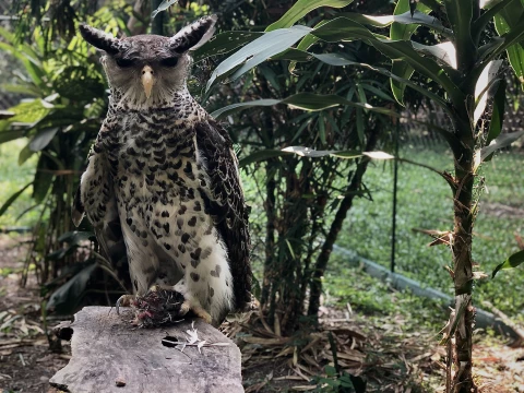 Discover the Wild: Half-Day Trekking Adventure at LCTW Discover the Wild: Half-Day Trekking Adventure at LCTW