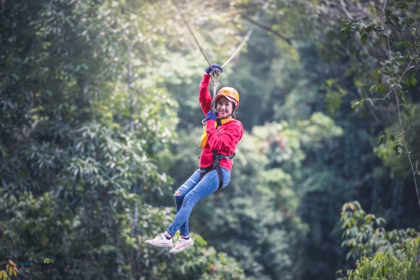 ລົດຮັບສົ່ງພາຍໃນຣີສອດ, ຍ່າງປ່າ, ຕົ້ນໄມ້ໃຫ່ຍ, ຂົວອູ່, ນ້ຳຕົກຕາດ, ຂີ່ສະລິງ 18 ເສັ້ນ