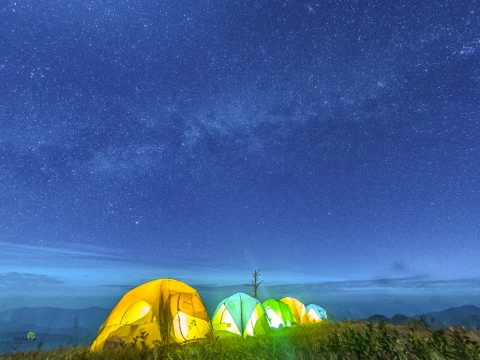 ຍ່າງປ່າ, ຕັ້ງແຄ້ມທີ່ພູຫຍ້າຄາ, ຊົມທະເລມອກ