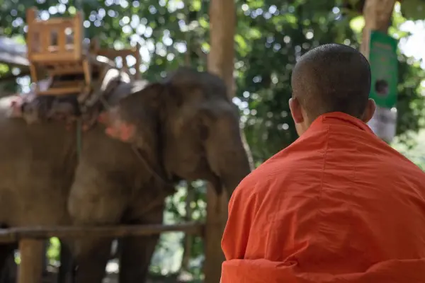 2 Day Trekking, Elephants & Soft Kayaking