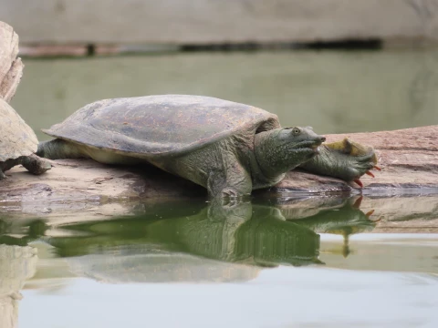 Quick Discovery Walk at LCTW Quick Discovery Walk at LCTW