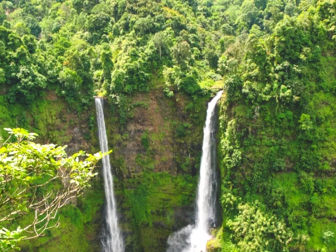 Bolaven高原徒步 Bolaven高原徒步