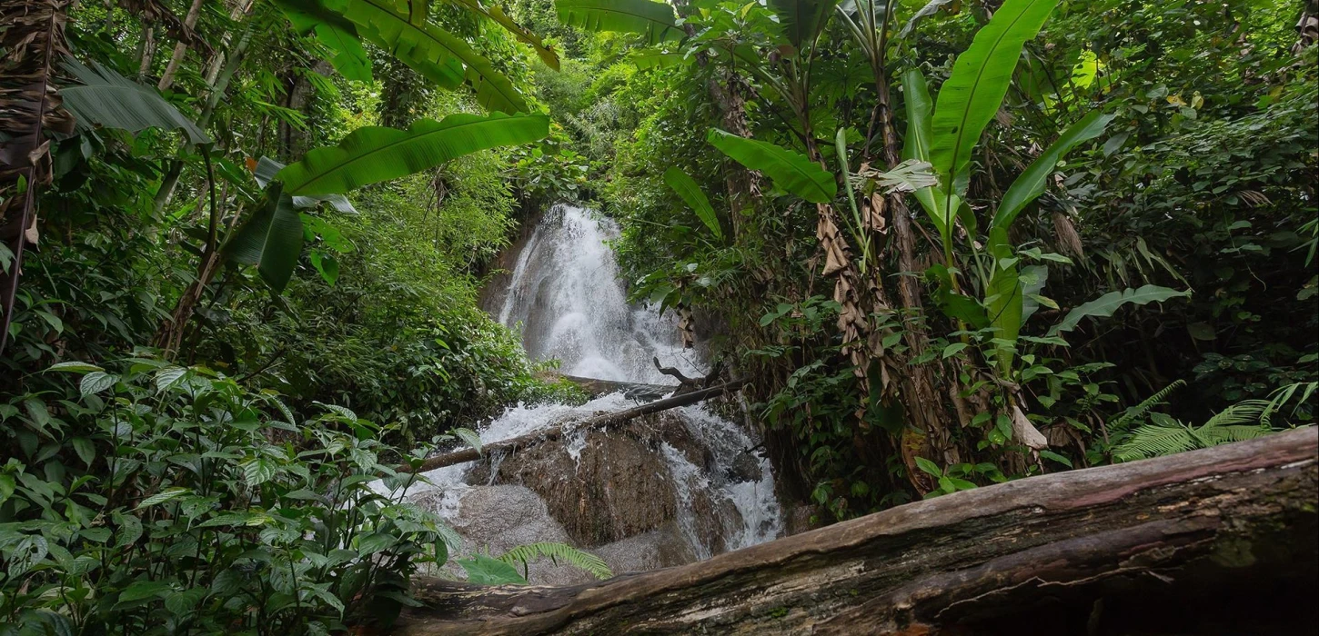 1 Day Nong Khiaw - 100 Waterfalls Adventure Trail