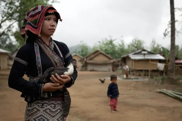 Half-Day Easy Jungle Trek, Village Boat and Tad Sae Waterfall