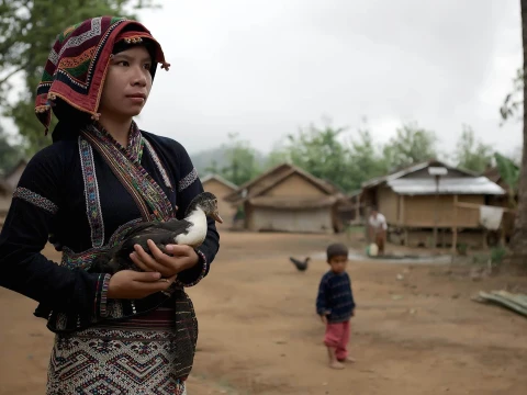 Half-Day Easy Jungle Trek, Village Boat and Tad Sae Waterfall Half-Day Easy Jungle Trek, Village Boat and Tad Sae Waterfall