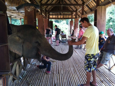 2 Day Mahout Experience with Overnight (Shangri Lao) 2 Day Mahout Experience with Overnight (Shangri Lao)