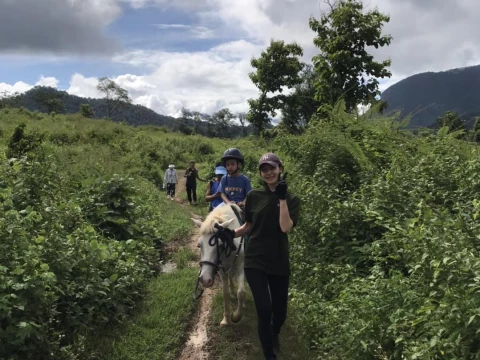 Pony Ride Experience - Bamboo Village, Forest Trails, and Temple Viewpoint Pony Ride Experience - Bamboo Village, Forest Trails, and Temple Viewpoint