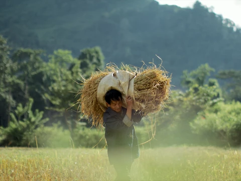 Eco Bungalow - Field Work Eco Bungalow - Field Work