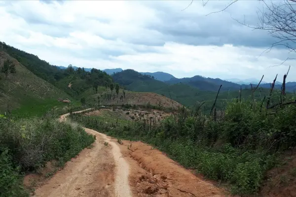 1 Day Biking On/Off-road to "Ban Sabai" & Mekong Boat Trip to Pak Ou Caves