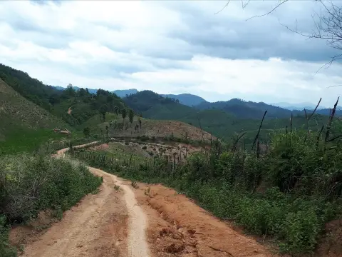 1 Day Biking On/Off-road to "Ban Sabai" & Mekong Boat Trip to Pak Ou Caves