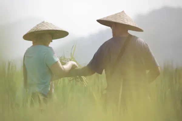 1 Day Rice is Life Experience & Kuang Si Waterfall