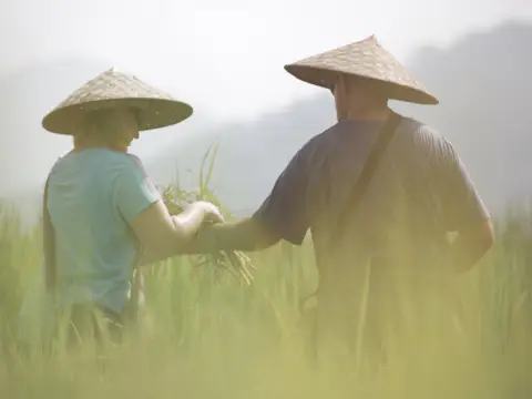 1 Day Rice is Life Experience & Kuang Si Waterfall
