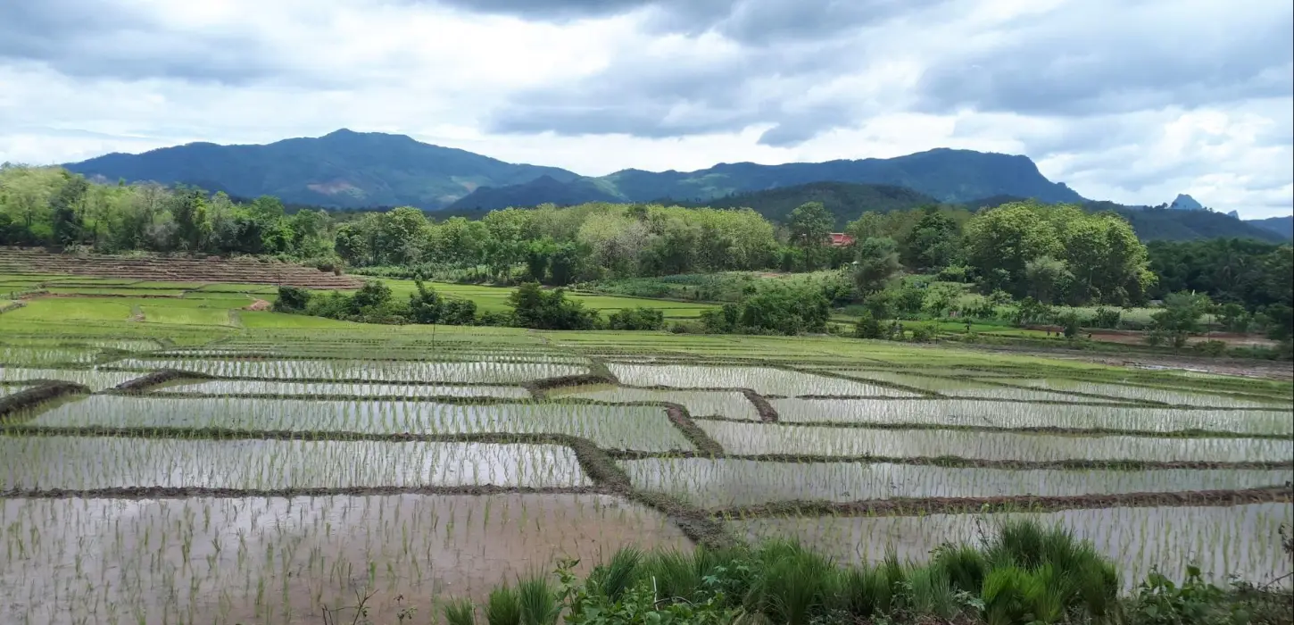 1 Day Biking On/Off-road Across the Mekong - Rice fields & "Single Dirt Track Explorer"