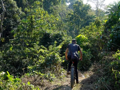 Full-Day E-Mountain Biking Medium) & Nature Adventure