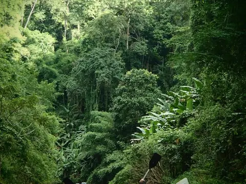 2-Day Nam Ha Jungle Trekking & Kayaking Adventure – Luang Namtha