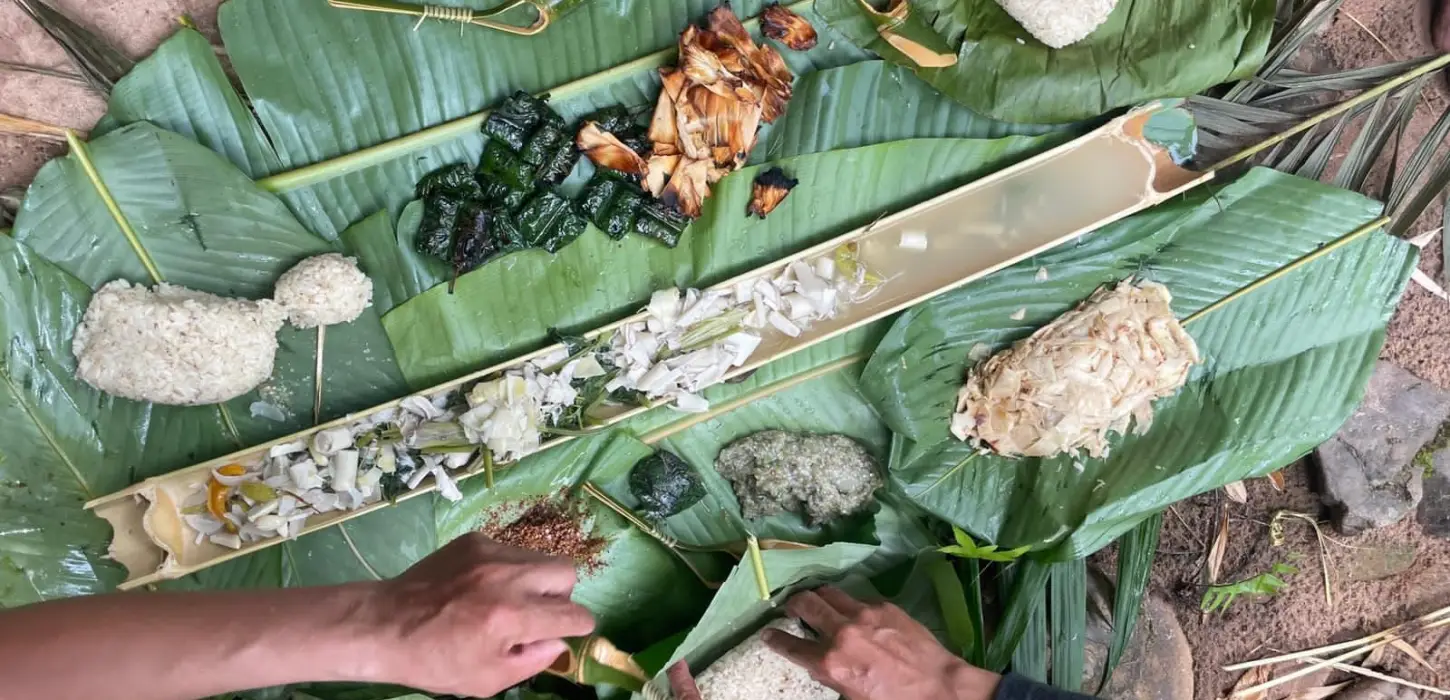 5-Day Nam Ha Jungle Trekking Expedition & Khmu Village Homestay – Luang Namtha