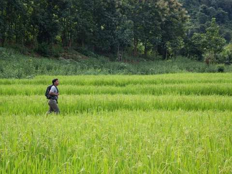 3-Day Nong Khiaw Jungle Adventure & River Expedition 3-Day Nong Khiaw Jungle Adventure & River Expedition