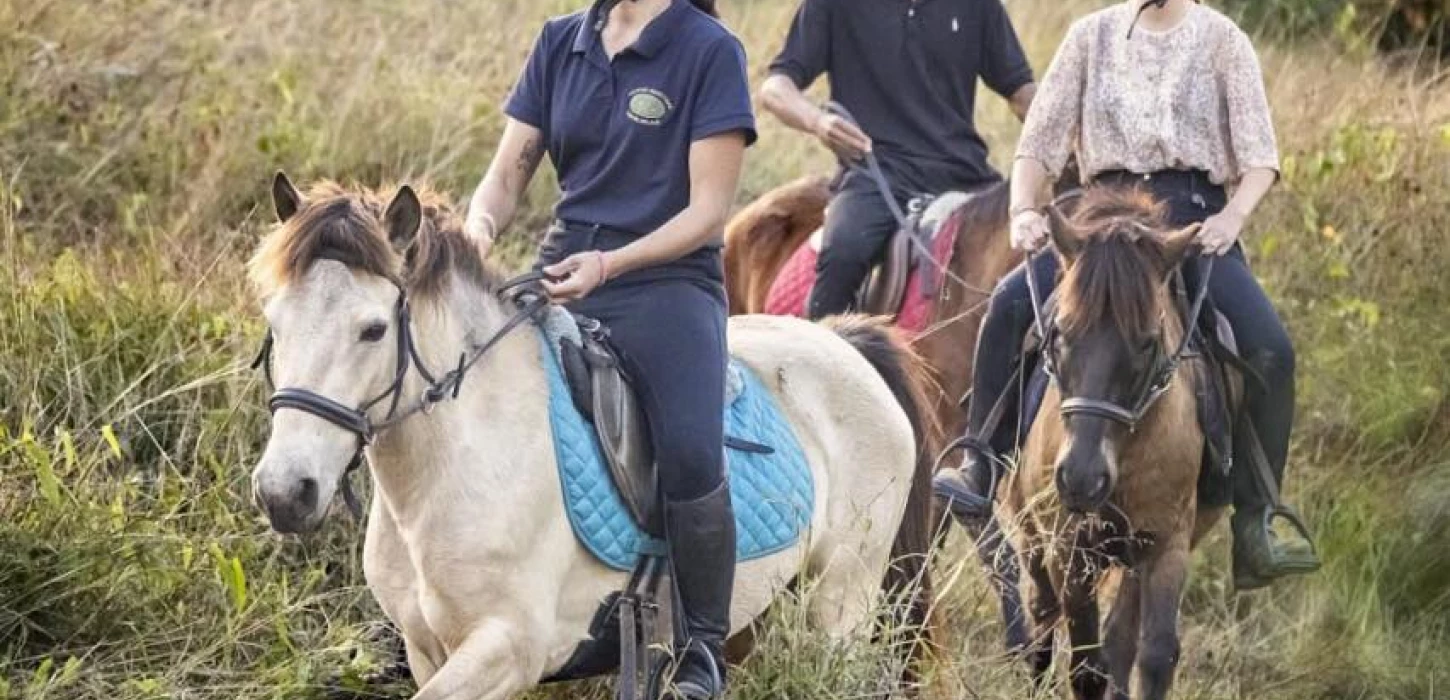 2-Hour Pony Ride: Rivers, Forest, Bamboo & Weaving Villages, and Temple