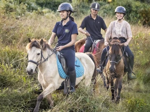 2-Hour Pony Ride: Rivers, Forest, Bamboo & Weaving Villages, and Temple 2-Hour Pony Ride: Rivers, Forest, Bamboo & Weaving Villages, and Temple