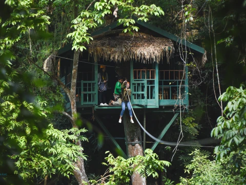 度假村汽车游览,徒步旅行,攀岩,铁索架,树屋 度假村汽车游览,徒步旅行,攀岩,铁索架,树屋