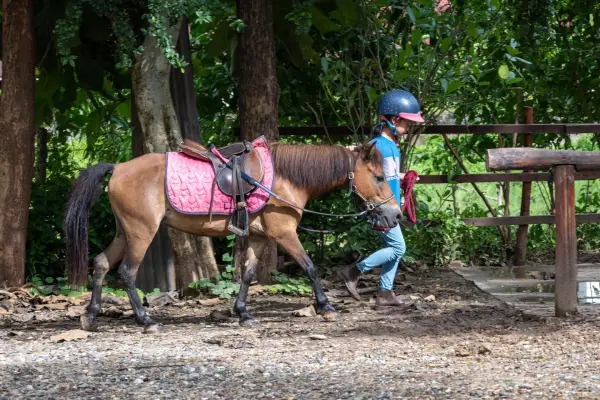 1-Hour Pony Ride Through Village and Forest