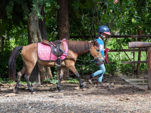 1-Hour Pony Ride Through Village and Forest 1-Hour Pony Ride Through Village and Forest