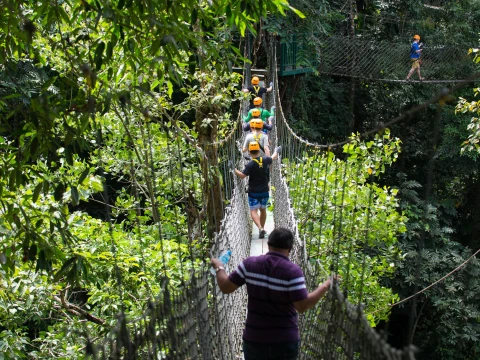 Private Half-Day Back to Nature at Nahm Dong Park Private Half-Day Back to Nature at Nahm Dong Park