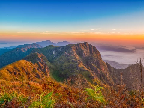 ຍ່າງປ່າ, ຕັ້ງແຄ້ມຢູ່ພູຫຍ້າຄາ ແລະ ພູຜາຫີນ