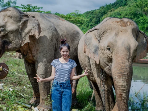 Half Day Elephant Experience Half Day Elephant Experience