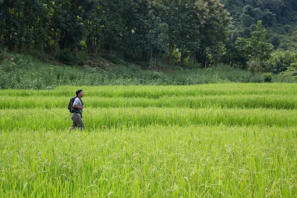 3 Day Nong Khiaw Trekking Short