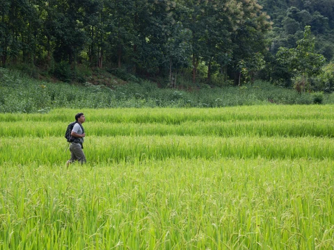 3 Day Nong Khiaw Trekking Short 3 Day Nong Khiaw Trekking Short